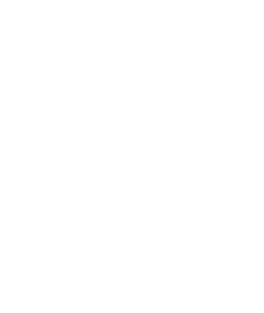 Logo de Grupo IDSI, con un isotipo que representa innovación y tecnología, acompañado del nombre de la empresa en tipografía moderna.